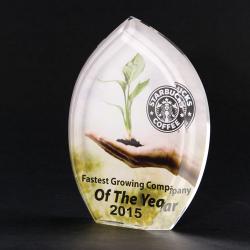 Full-Color Lead Crystal Maple Leaf Award - 4 1/2" x 5 7/8"